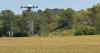 Indiana farmers must stay flexible with cover crops