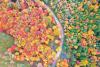 Fall Is Coming: See When New York’s Leaves Will Peak