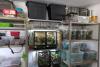 Cape Town couple fined R80 000 over illegal reptile collection