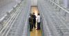 North Korean defectors near nuclear test site show chromosome abnormalities