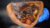 Cardiff company at centre of food poisoning outbreak at festival