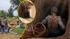 8 Men Arrested for Running a Massive Illegal Mining Operation in Marlborough for 4 Years