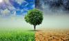 From Pledges to Implementation: How COP27 Shaped Egypt’s Path to a Green Future by 2050