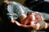 North Dakota Hospital Births Cost Nearly 6000 Dollars Less Than Average