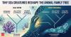 In 2009, scientists revealed which animal came first on Earth, and the answer was right at the bottom of the sea