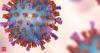 Gujarat reports 35 Chandipura Virus cases, 22 deaths: Health Minister Praful Pansheriya