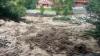 LG Sinha calls for nature-based climate solutions