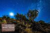 Here's What It's Really Like After Dark at Colorado Monument