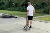 Video of Louisiana Man's Way Too Calm Gator Relocation Goes Viral