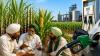Is India's ethanol push really helping farmers? What government data says