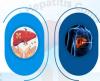India steps up Hepatitis B screening under nationwide awareness drive