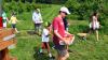 7 Massachusetts orchards where you can pick your own peaches