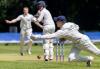 Bird and field fly high as Falkland secure thrilling victory