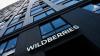 Kazakhstan Set for E-Commerce Boom as Wildberries Builds 260,000 Sq M Warehouse Network in Astana and Almaty