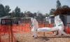 African health ministers to meet over Ebola spread, Nigeria reports first case