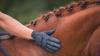 ‘The horse must always come first’: British Equestrian shares plans for future