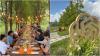 OpenAI's luxury 'summer camp' for influencers faces backlash over sustainability