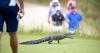 Kiawah and Seabrook islands offer golf, restaurants and more for visitors