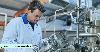 Ginkgo Partners with Acies Bio to Expand Access to Microbial Strains for Protein Production