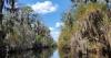 Aug. 4 - Okefenokee becomes Georgia’s first UNESCO World Heritage site