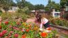 Here's how to be part of the Great Southeast Pollinator Census