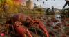 In 1974, a Spainish rancher imported 2,000 kg of American crayfish from Louisiana. 50 years later, it has become an invasion nobody could stop
