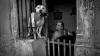 Most photographers visiting Cuba's capital focus on the Chevys and cigars. David Saxe took a very different approach: going after the blur, the shadows and the things nobody poses for