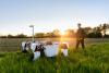 £20m to get robots farming