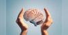 Scientists find molecular switch that may explain ageing's hidden trigger for brain disease