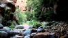 Palm Valley: A Natural Masterpiece of Biodiversity and Geological Beauty