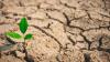 Baysal: Climate justice requires peace and food sovereignty - Part One