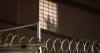 Man From El Salvador Dies In New Jersey Immigration Jail, ICE Says