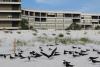 2 beachfront business owners accused of scattering mothballs on St. Pete Beach to deter birds