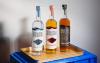 Black Tiger Distilleries eyes Indian drinkers with new Tequila