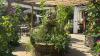Beauty spot 30 minutes from Newcastle with delightful cream teas in stunning courtyard