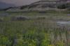 Northern Plains Weed Symposium set for August 24-26 in Washburn