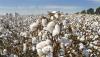 Global textile trade's hidden water costs threaten emerging market supply chains