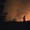 FIRE REPORT: State resources mobilized as Spokane area fires grow; Governor declares statewide emergency