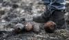 France Wildfires Uncover 400 WWII Shells In Village