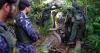 Hundreds arrested in UAE-led operation to tackle environmental crime in Amazon