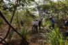 Brazil’s Mombak delivers early to Google, other buyers in boost for carbon removal credits