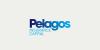 Pelagos Insurance Declares $0.15 Dividend