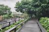 Seoul's Dream Forest unveils canopy walkway, upgraded outdoor cafe