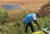 Nigerian Farmers Cut Fuel Costs and Boost Yields with Solar-Powered Irrigation