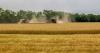 SA wheat farmers plant smallest crop in nearly a century amid rising costs