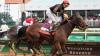 Churchill Downs, NYRA unveil 6-race championship