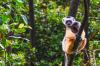 Bezos, DiCaprio pledge $200m to save endangered species