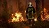 Prices of olive oil, wine and fruit expected to rise due to extreme heat and wildfires in Europe