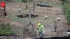 California's Ranch Fire burned 459,123 acres in 53 days; eight years later, crews planted 71,000 seedlings across the scar in eight days