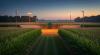 Field of Dreams Game Returns August 13: Twins Host Phillies in Iowa Cornfield